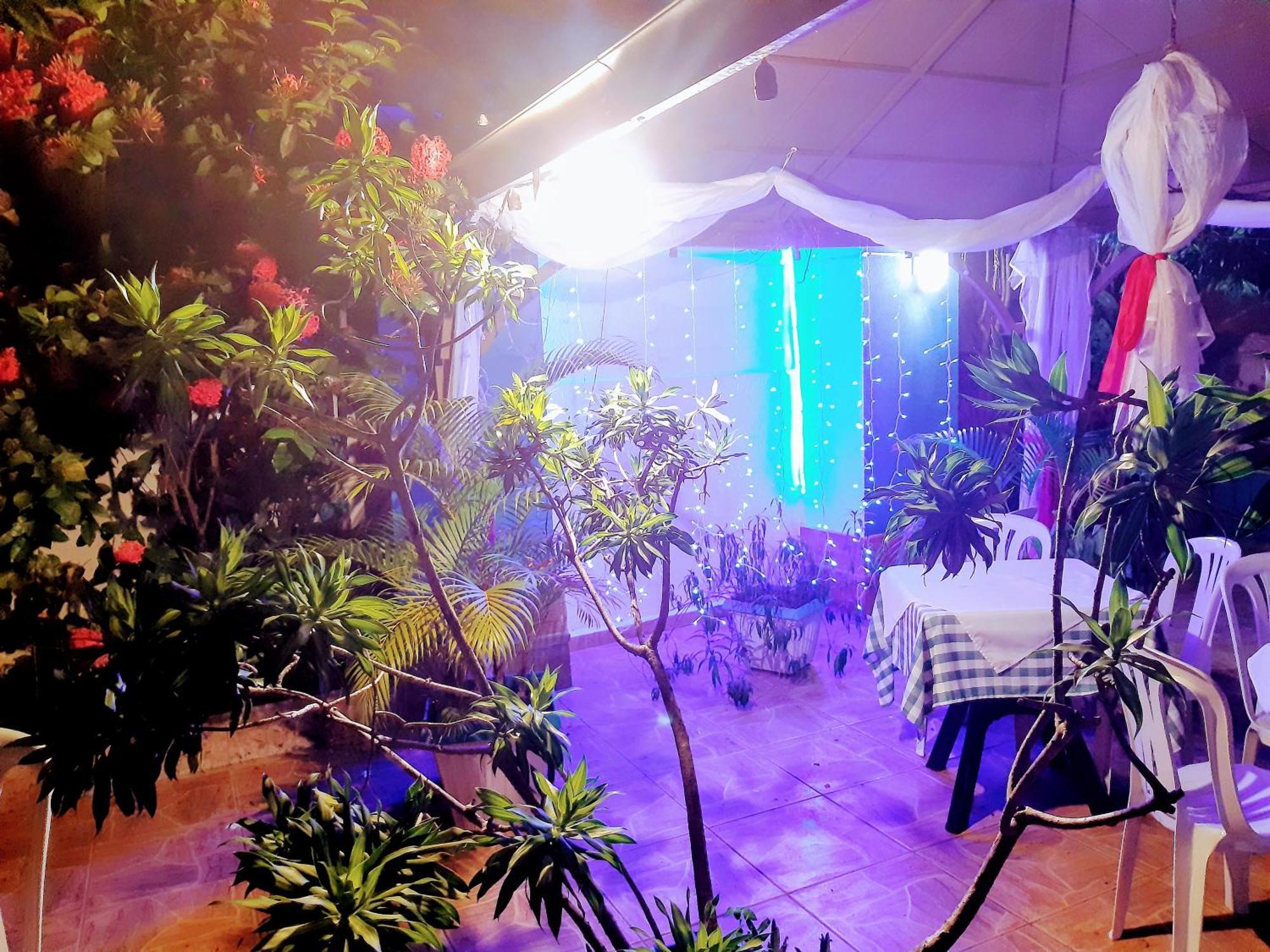 Hotel El Tronco Inc Boca Chica Eksteriør bilde